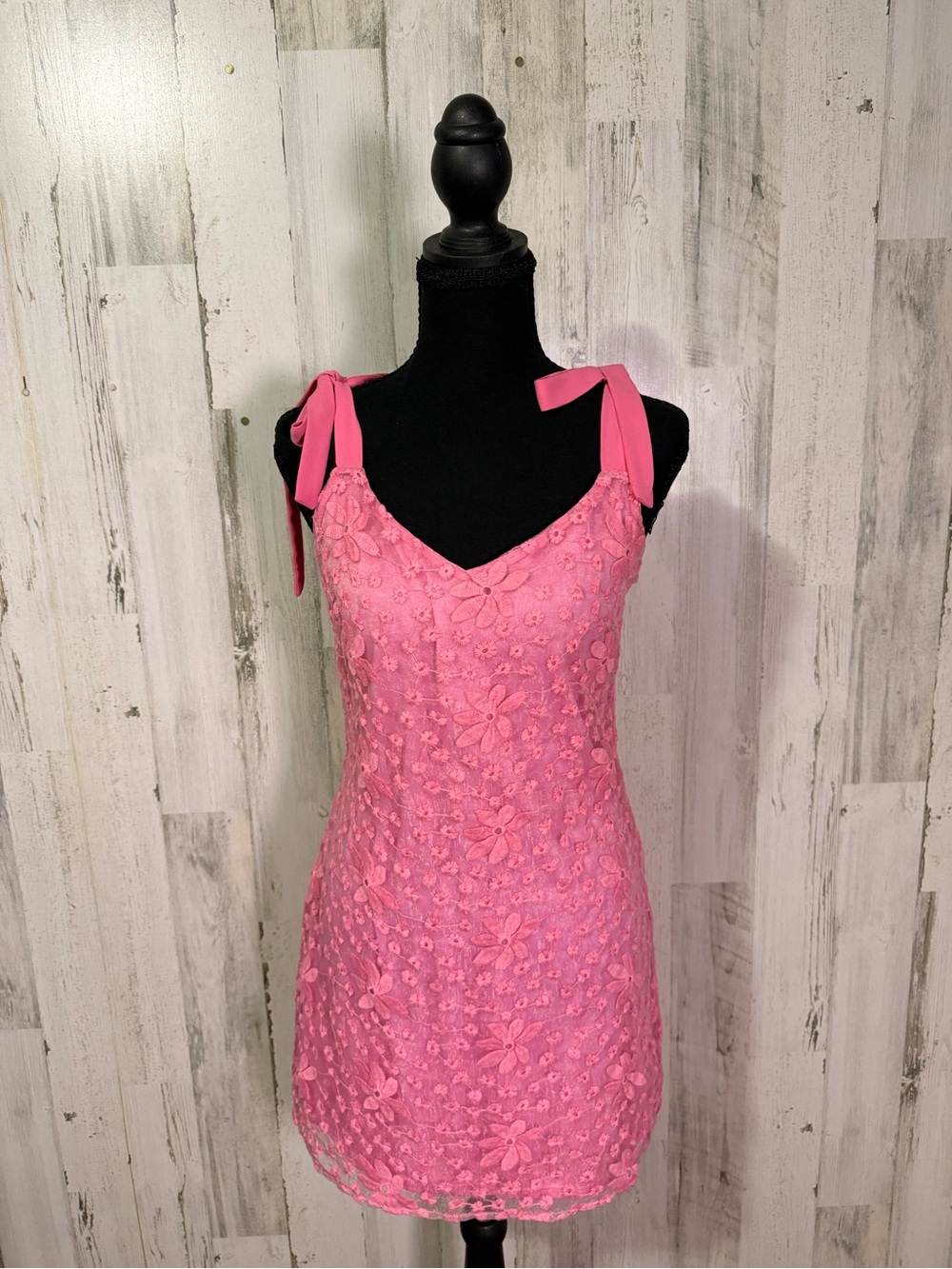 Blue Rain Francesca’s Pink Floral Embroidered Tie-Strap Mini Dress Size S